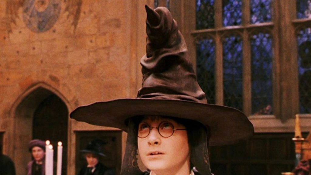 harry potter choixpeau
